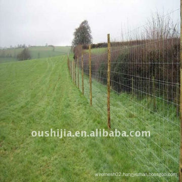 Super quality cow nets/cattle fence net/animal wire mesh fence(manufacture)